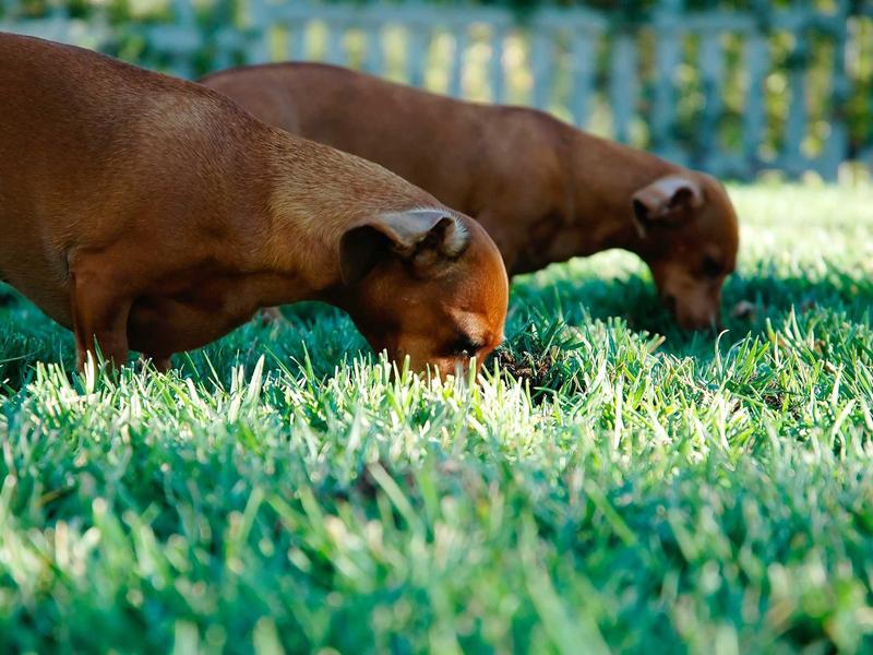 accessibility screenshot 6