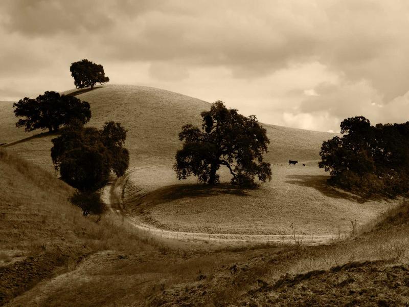 sudoku advanced techniques screenshot 5