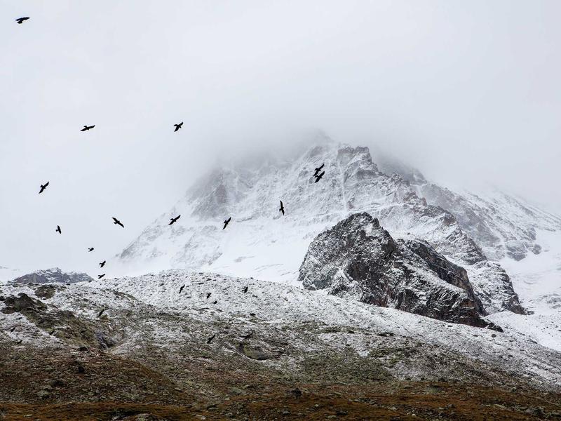 sudoku advanced techniques